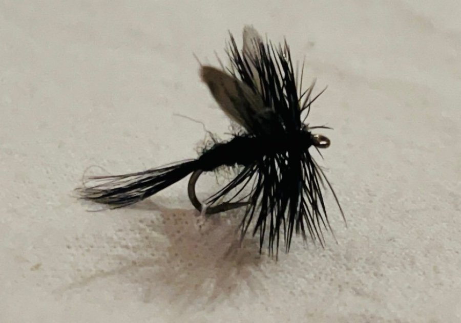 Rödingpaket flugfiske (Nattslända Black Gnat Blue Dun Bredby) 12st