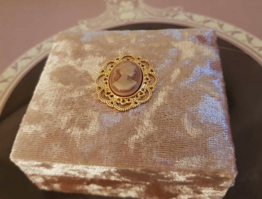 NY LYXIGT SMYCKESSKRIN m KAMÉ ~ ROSA GULD sammet ~ smyckesask viktoriansk stil