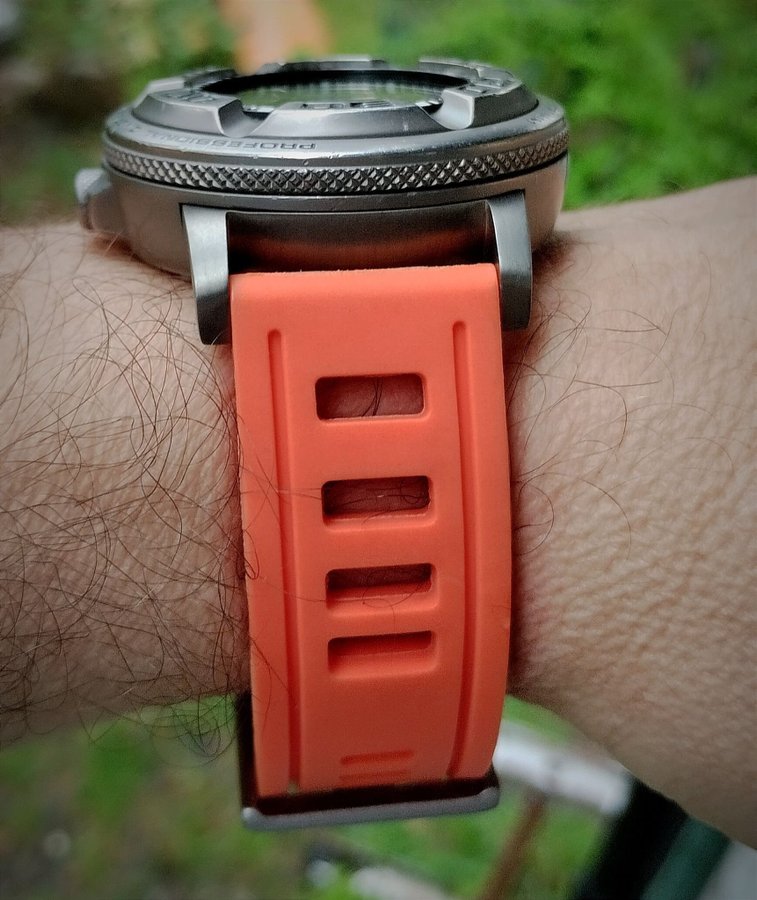 Ecozilla Citizen BJ8041-09E Titan