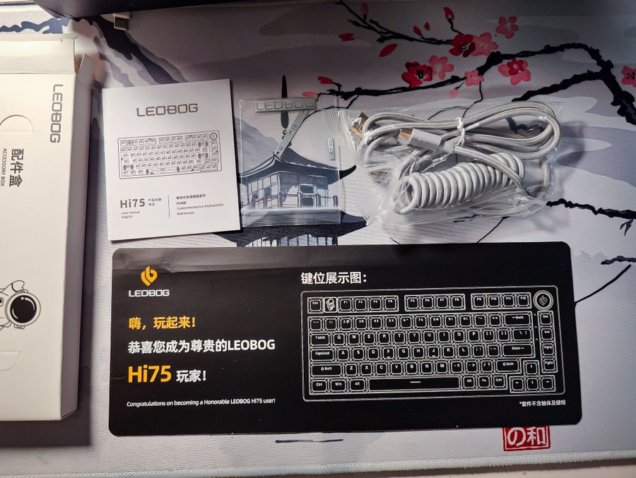Custom LEOBOG Hi75 Keyboard (Akko V3 Silver Pro)