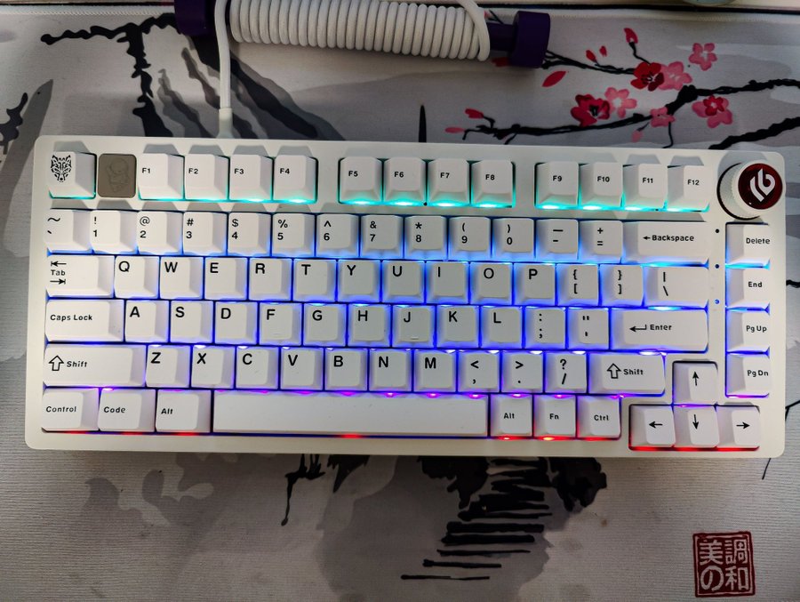 Custom LEOBOG Hi75 Keyboard (Akko V3 Silver Pro)