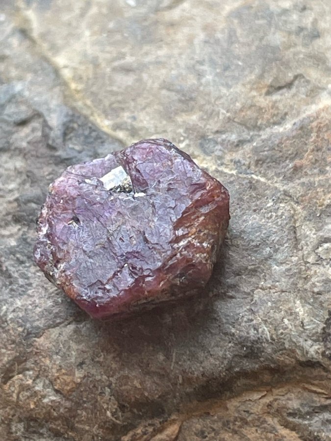 615 carat! NATURLIG OBEHANDLAD RUBIN med PYRIT I SIN NATURLIGA KRISTALL FORM