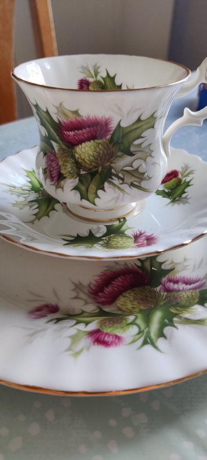 ROYAL ALBERT JÄTTEFIN KAFFESERVIS 15 delarporslin"Highland Thistle"