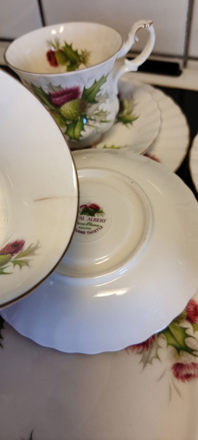 ROYAL ALBERT JÄTTEFIN KAFFESERVIS 15 delarporslin"Highland Thistle"