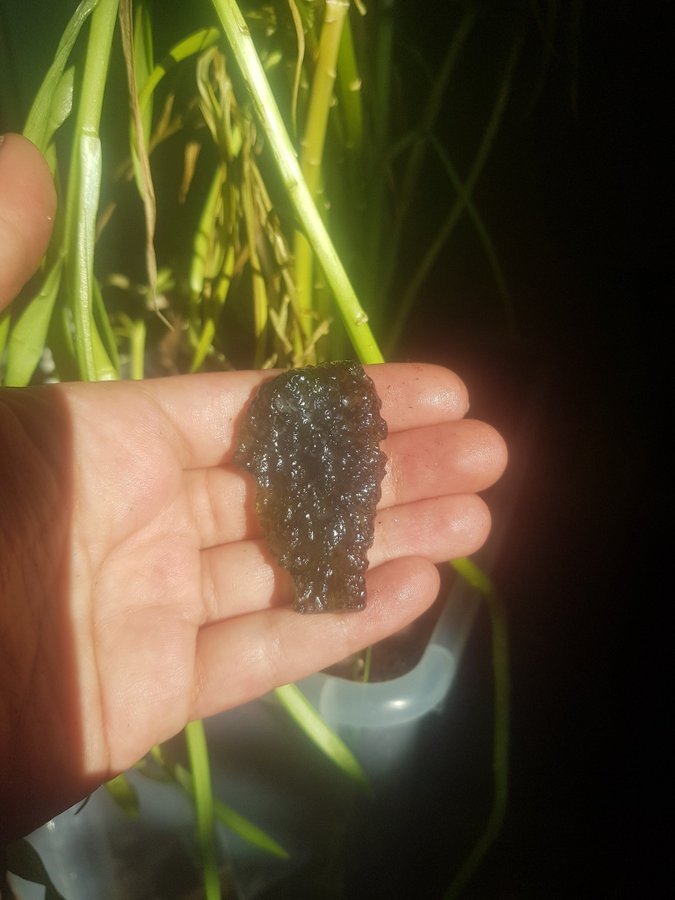 226gram moldavit Moldavite Meteoritnedslag ~ 50× 25 × 8 mm