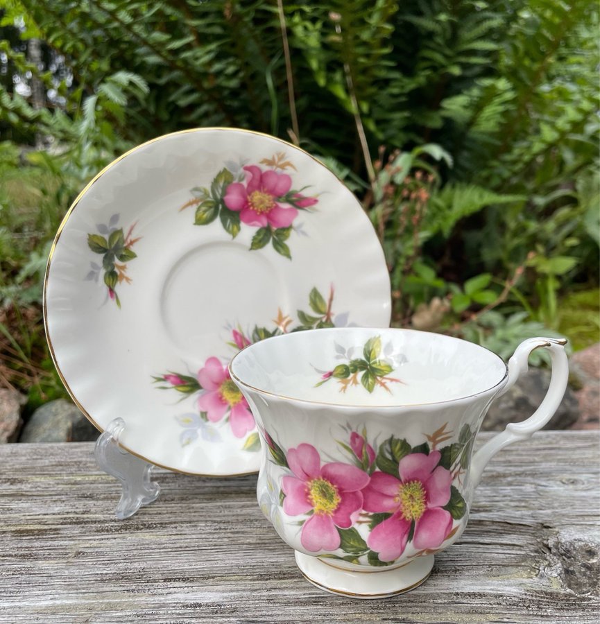 Vintage - Royal Albert tekoppar  fat - Praire Rose