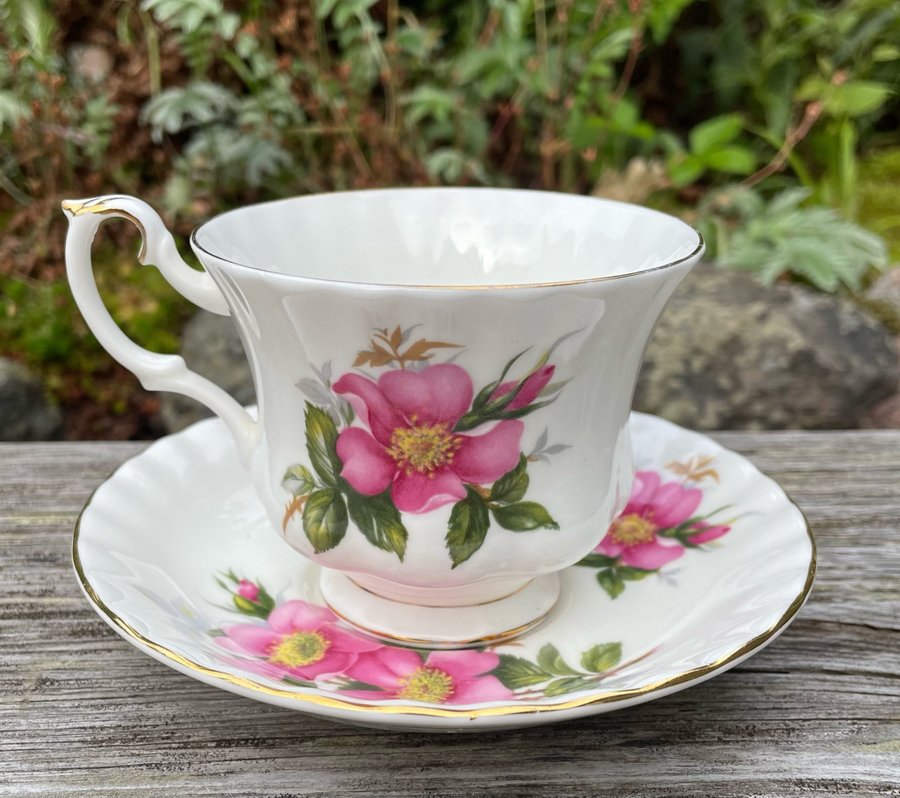 Vintage - Royal Albert tekoppar  fat - Praire Rose