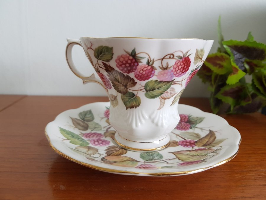 Royal Albert Random Harvest Series "DORSET"- Tekopp / Kaffekopp med fat