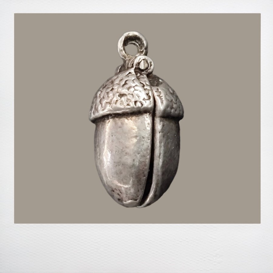 Jewelry - Silver Pine Cone Charm with Squirrel Pendant| Silverkott hänge|
