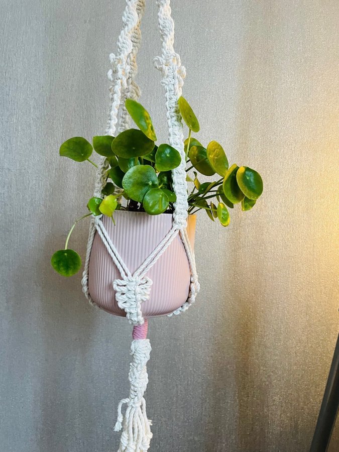 Ampel i makramé /plant hanger