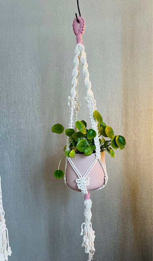 Ampel i makramé /plant hanger