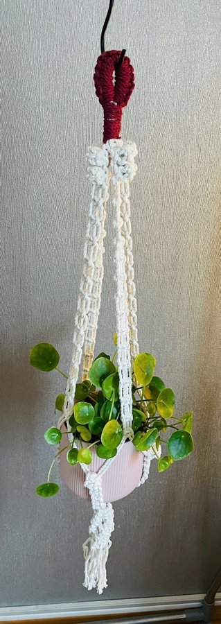 Ampel i makramé /plant hanger