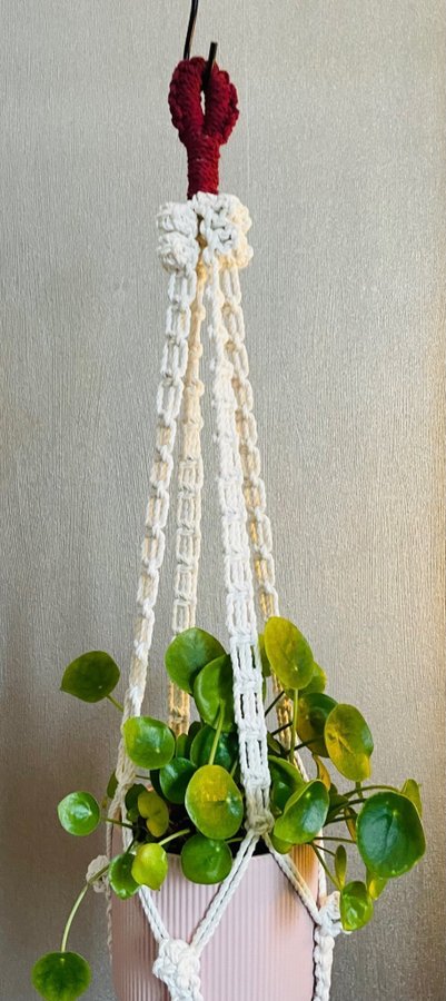 Ampel i makramé /plant hanger