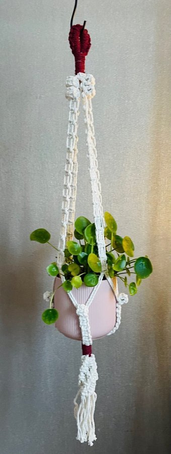 Ampel i makramé /plant hanger