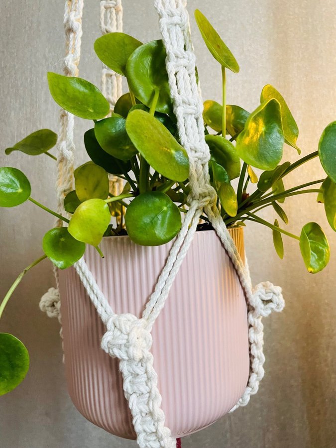 Ampel i makramé /plant hanger