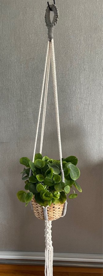 Ampel i makramé /plant hanger