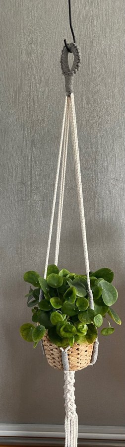 Ampel i makramé /plant hanger