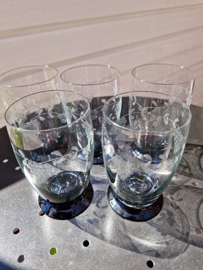 Selterglas Vattenglas Dricksglas Vintage Glas Samlare