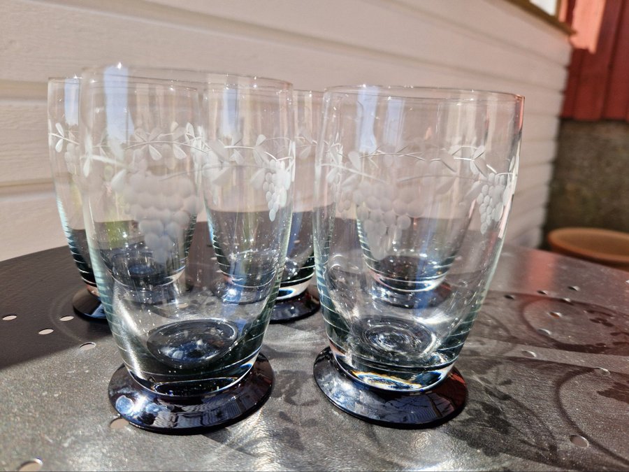 Selterglas Vattenglas Dricksglas Vintage Glas Samlare