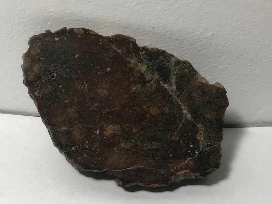 Eucrite meteorit breccia - NWA 15932 - Ändskärning - 753g