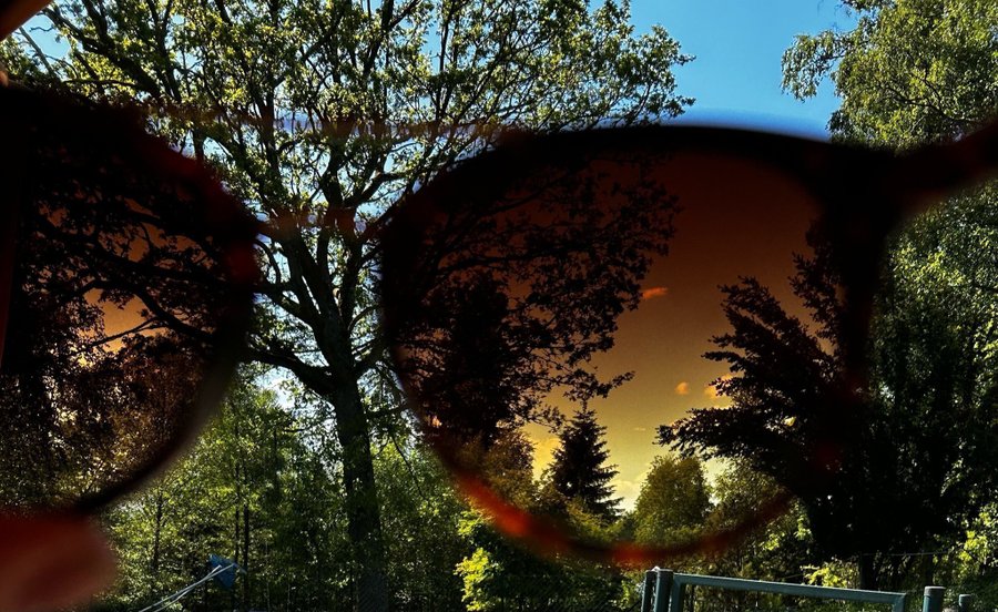 fina tidlösa solglasögon med brun färgade plast båge
