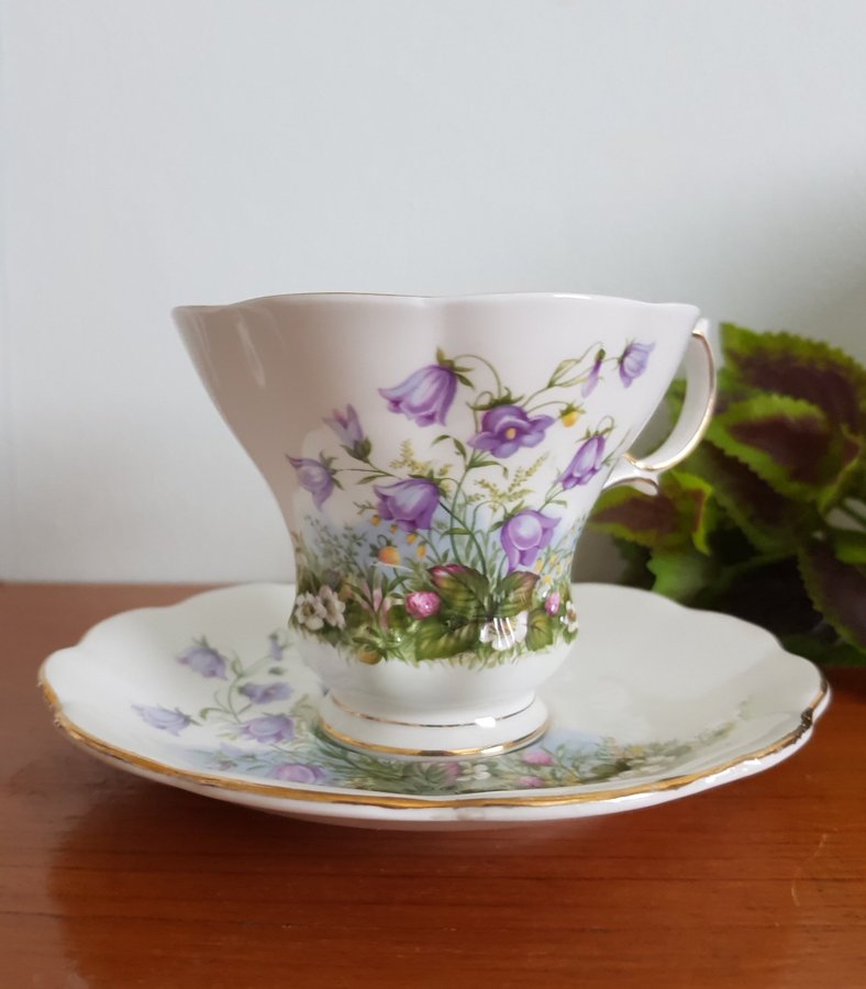 Royal Albert Sunnyside Series "JULIET" - 2 Tekoppar / Kaffekoppar med fat