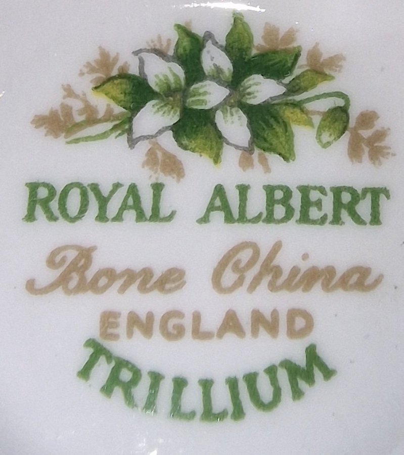 ROYAL ALBERT TRILLIUM ~FAT~ ASSIETT och KOPP från ENGLAND