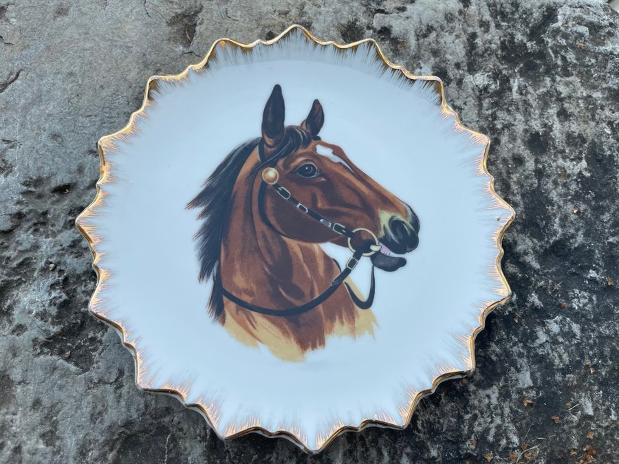 Väggtallrik samlartallrik vit porslin hästmotiv brun vacker häst guldkant D20cm