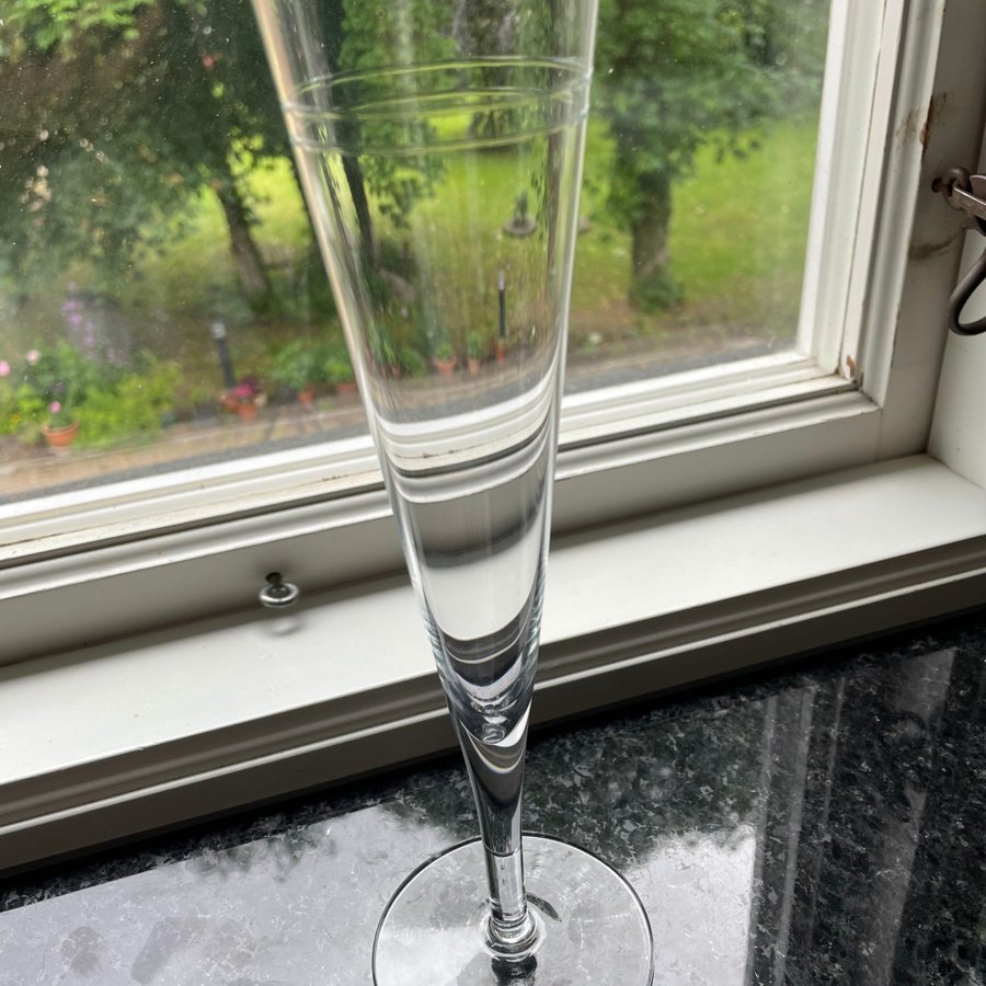 AGAIN CHAMPAGNE GLAS RAND DEKOR DESIGNER SIGNE PERSSON - MELIN BODA NOVA