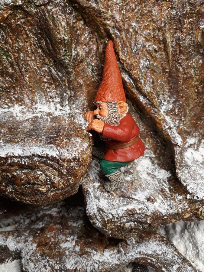 Gnomes Tomtar Rien Poortvliet