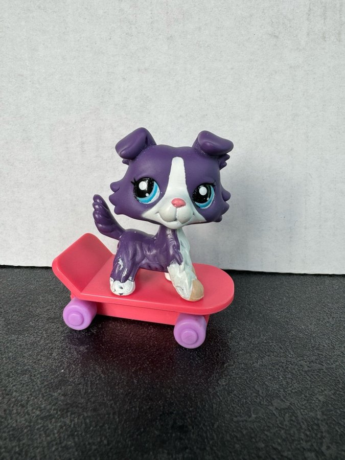 Littlest Pet Shop - Hund Collie på skateboard Vintage Rare #1676