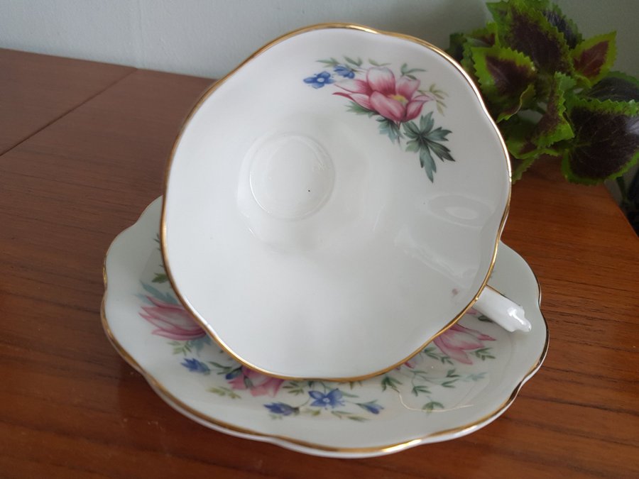 Royal Albert Random Harvest Series "SURREY"- Tekopp / Kaffekopp med fat