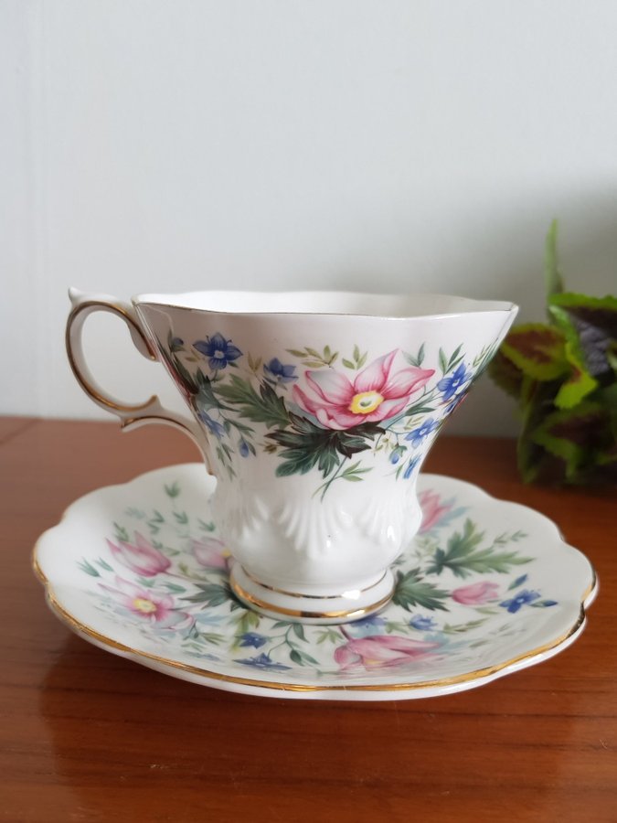 Royal Albert Random Harvest Series "SURREY"- Tekopp / Kaffekopp med fat