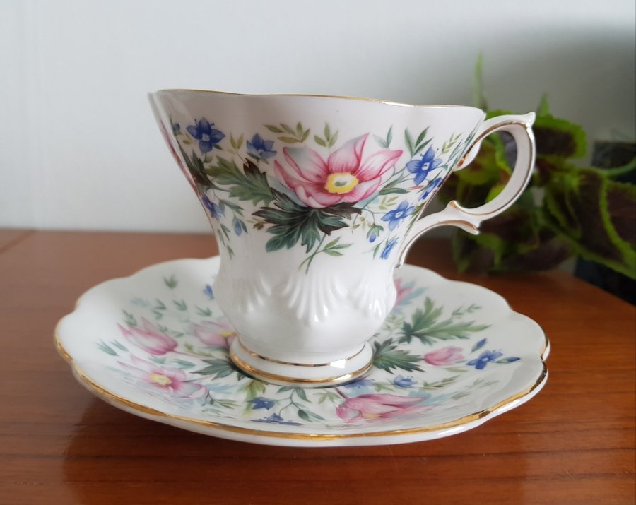 Royal Albert Random Harvest Series "SURREY"- Tekopp / Kaffekopp med fat