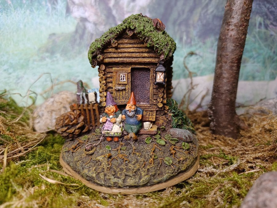 Gnomes Tomtar Rien Poortvliet