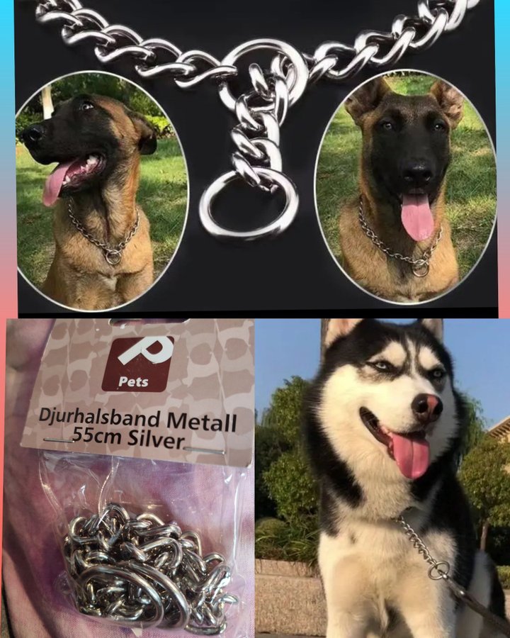 Träningshalsband till hundeb Kedja 55cm färg silver