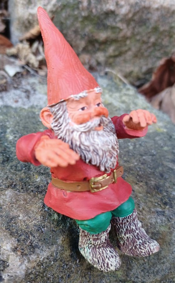 Gnomes Tomtar Rien Poortvliet