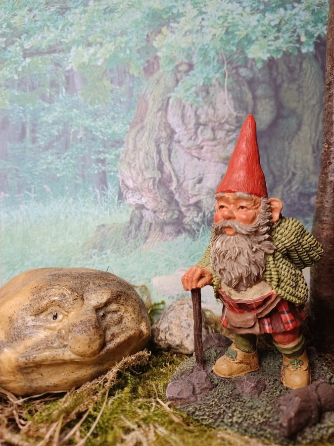 Gnomes Tomtar Rien Poortvliet