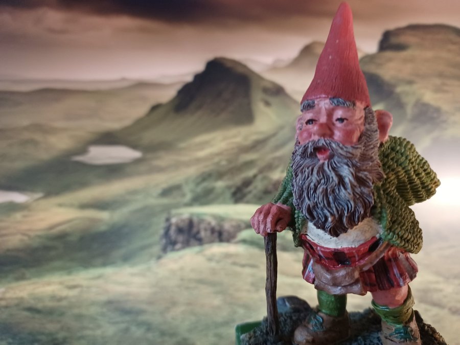 Gnomes Tomtar Rien Poortvliet