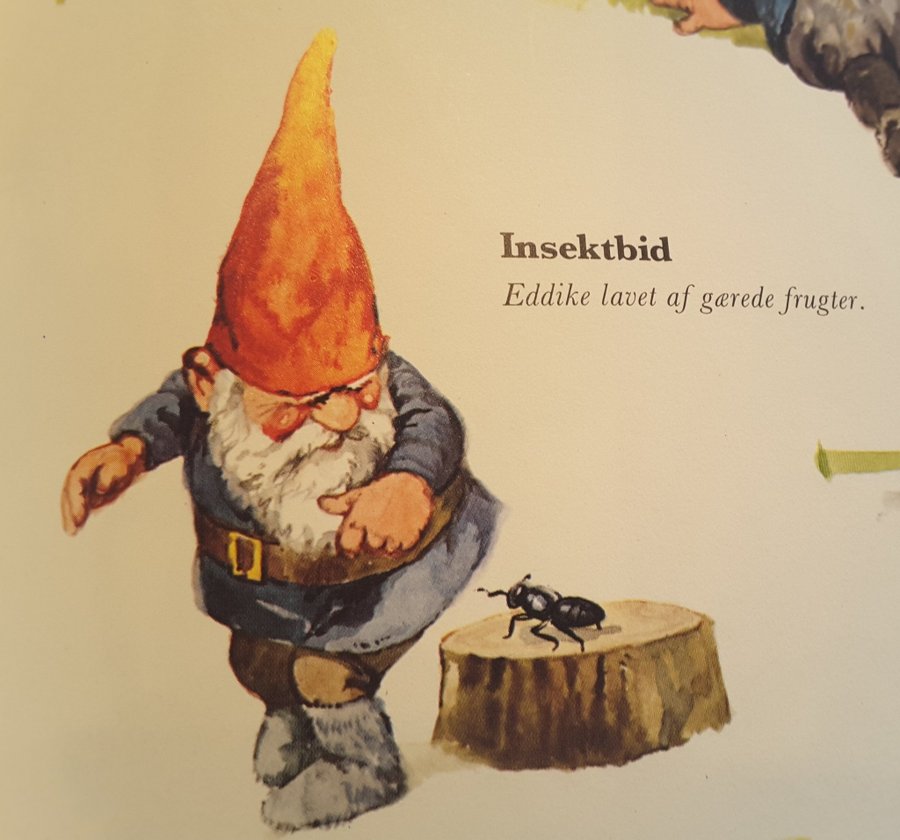 Gnomes Tomtar Rien Poortvliet