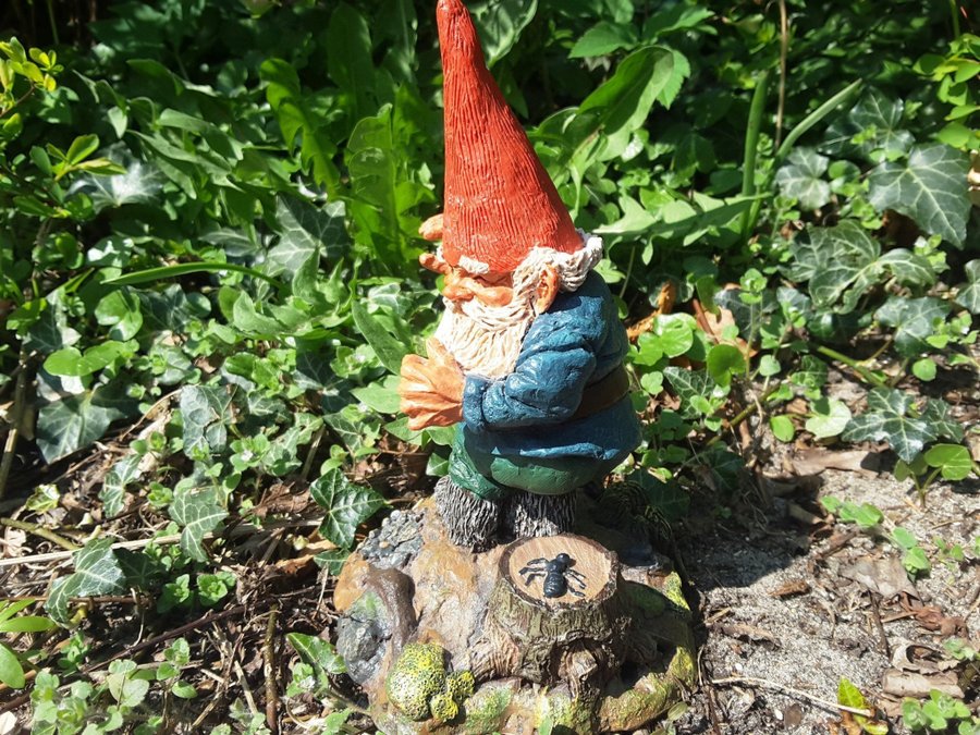 Gnomes Tomtar Rien Poortvliet