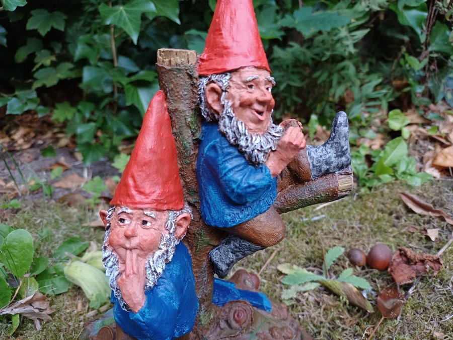 Gnomes Tomtar Tom Clark