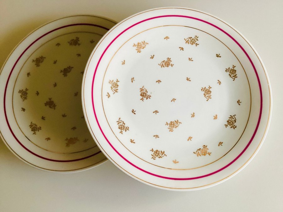 2 tallrikar Maison Raynaud vintage i Limoges porslin  sällsynt1950-tal