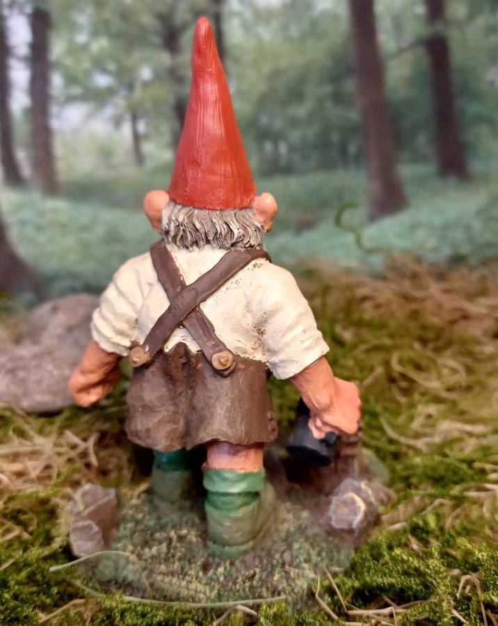 Gnomes Tomtar Rien Poortvliet