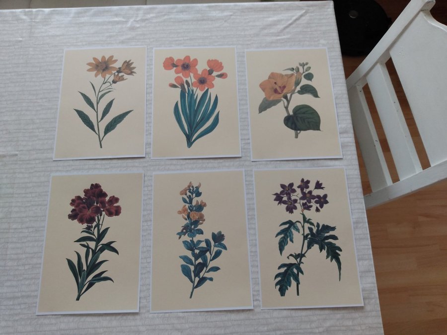 6st Vintage Blommor till Tavla