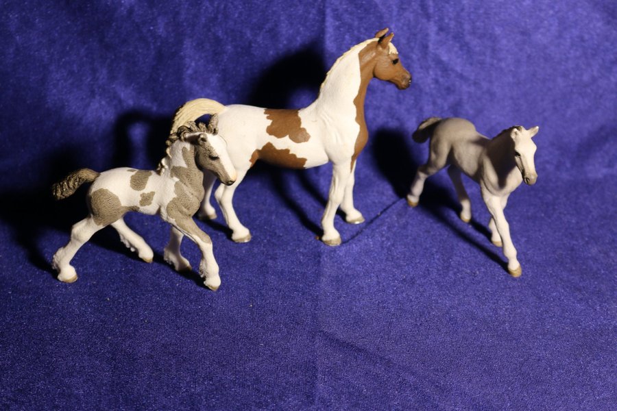 Schleich Hästar