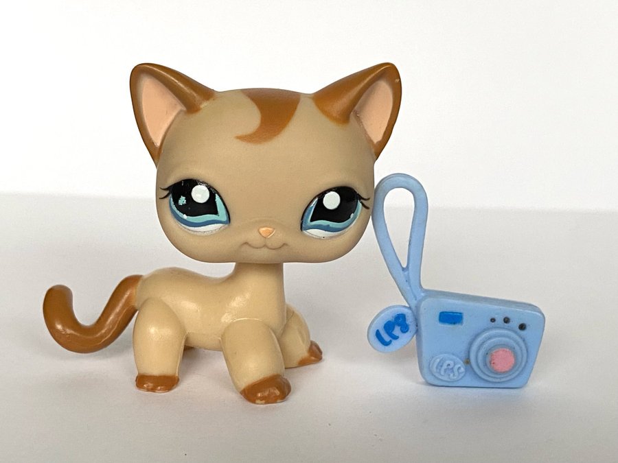 Katt #1024 - Littlest Pet Shop - Petshop Petshops Pet shops Lps