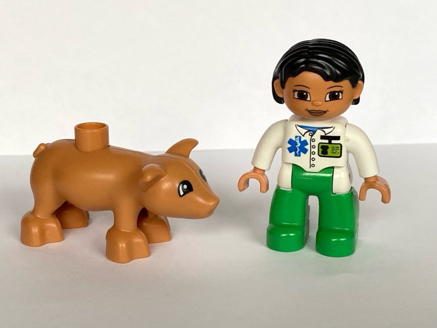 Gris, Duplo, Veterinär, Djurskötare, Zoo, Figurer, Figur