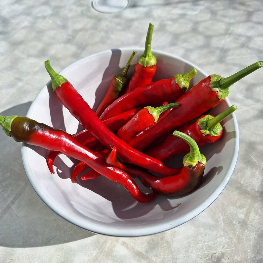 Chili frö Aji Cacho de Cabra 10 st