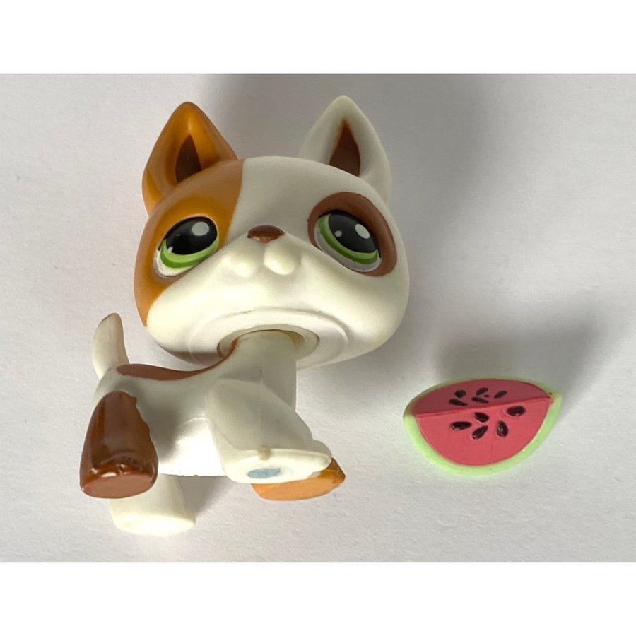 Hund - Littlest Pet Shop, Petshop, Pet shops, Petshops, Lps